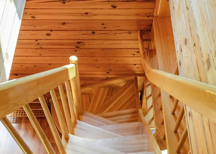 Dalija * Παλάγκα